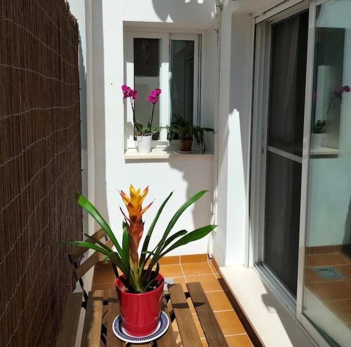 Estudio 52 Malaga Centrico Parking Gratuito Appartement Buitenkant foto